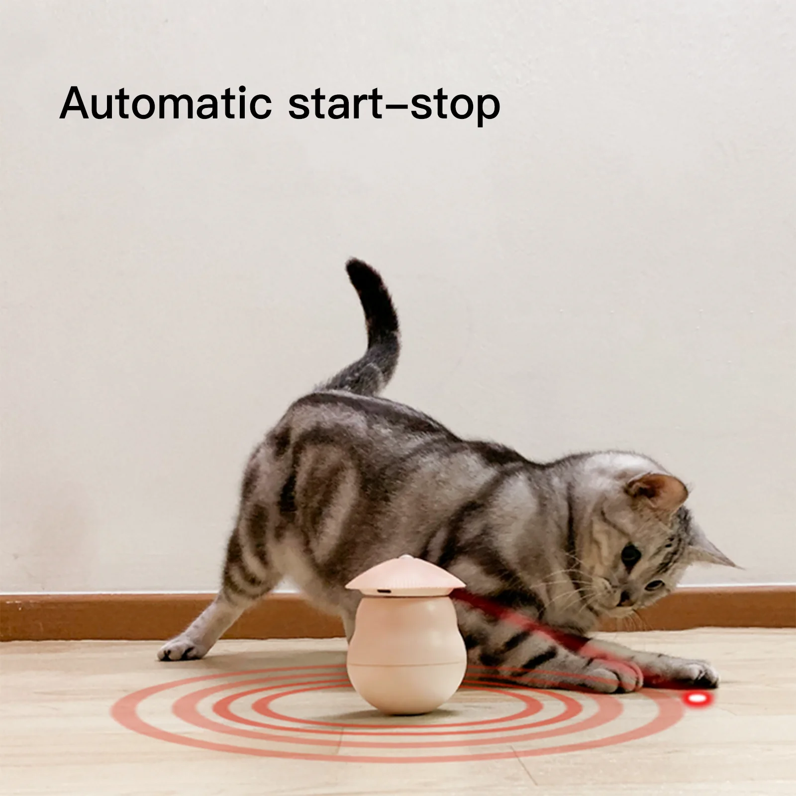 Automaatne lasermänguasi kassidele